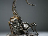 Queen Facehugger Maquette (Sideshow Collectibles)