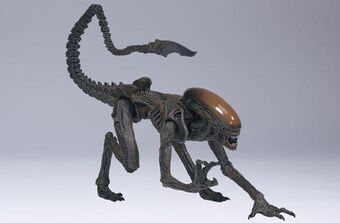 エイリアンズ　クラブ限定　MOVIE Maniacs7 McFARLANE TOYS ALIEN RESURRECTION WARRIOR ALIEN DELUXE