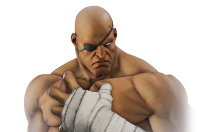 Ryu (Street Fighter), MasterHoshiStats Wiki
