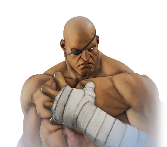 street fighter characters sagat