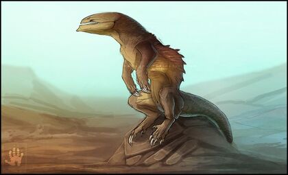 Raptor