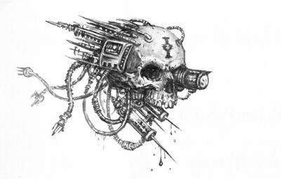 Serwoczaszka służąca do..