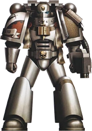 Szaraczekwpoerwarmorzebiedanormalnośćmiernośćgibmoney