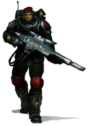 Członek 101