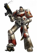 WhiteScarsAstartes.jpg (16 KB)