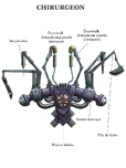 Chirurgeon