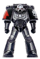 Brat bitewny Srebrnych Czaszek