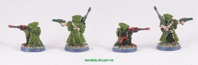 Eldar rangers