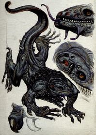 Loxatl