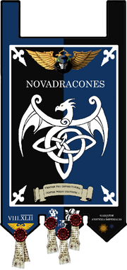 Bannière Nova Dracones