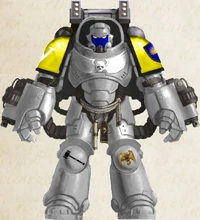 Dawn Guardians Aggressor.