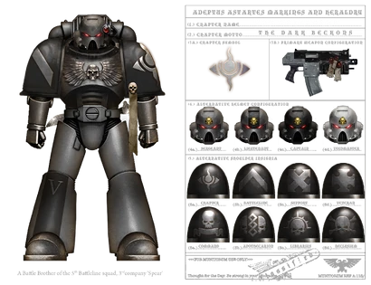 Voidborne Chapter heraldry and appearance.