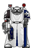 Primus Hospitalier Master Augustus, Chief Apothecary