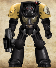 Imperial Fists Veteran Legionary clad in Mark 3b Indomitus pattern Terminator Armour.
