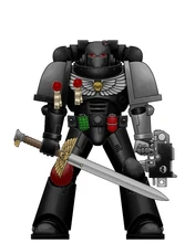 Brother Valius of the Howling Wolves, Seconded to the Deathwatch