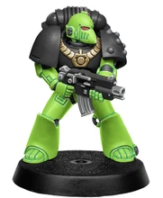 Beaky Life Bearer.jpg (258 KB) Life Bearers Firstborn Battle-Brother arrayed in relic Mark VI 'Corvus' pattern power armour.