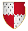 Eigth Co Shield
