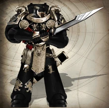 Pride Champion of the elite 1st Pride