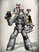 sable-lions-warhammer-40-000-homebrew-wiki-fandom