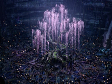 A rare pict-file of the sacred tree Yggdrasil