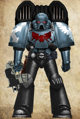 Accipiters Battle-Brother of the 8th Company, 8th Close Support Squad.