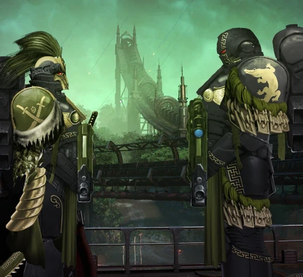 PP Primaris Reinforcement