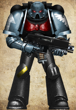 Accipiters Astartes