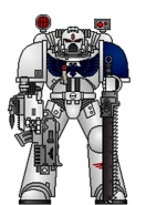 Knight Wardens Apothecary