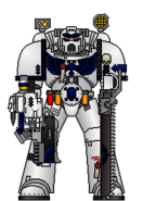 Brother Yorin, Knight Hospitalier