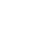 Stormwing Icon White