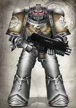 Gilded Knights Battleline Astartes.png (1.88 MB) A Battle-Brother of the Gilded Knights (former Chapter incarnation).