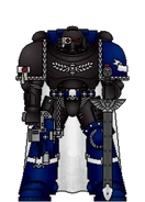 Primaris Veteran Sergeant