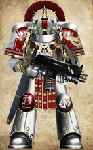 White Paladins Sergeant in Mark VIII "Errant" Pattern Power Armour.