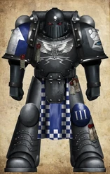 Knights Adamant Battle-Brother of the 3rd Company.
