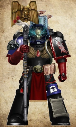 Broken Wings Librarian