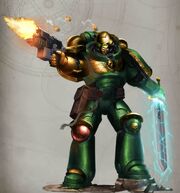 Dragon Helms Veteran