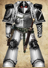Adamantine Knights Veteran Marine of the Chapter's 2nd Elite Company ('Ghostwing').