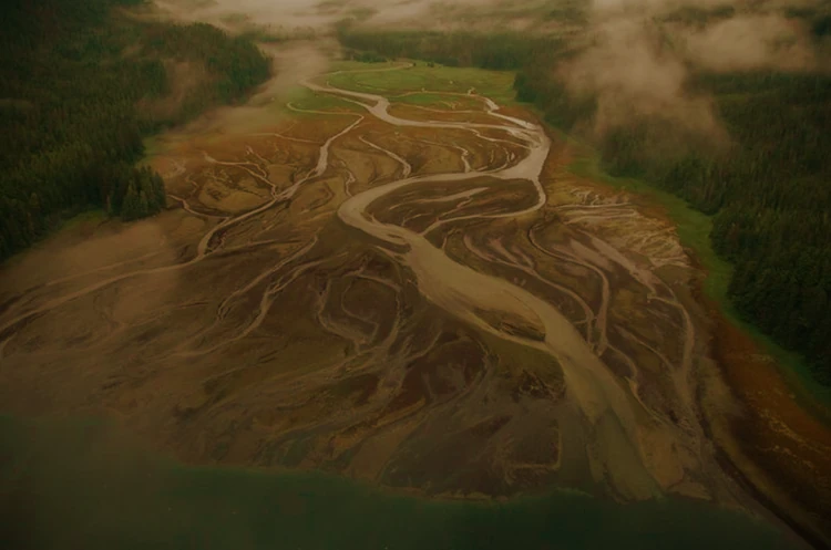 Braided Channel River