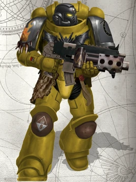 Void Wyverns Intercessor