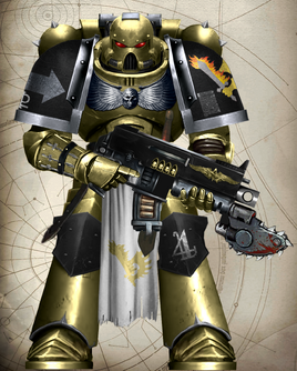 Exalted Seraphs Astartes 2