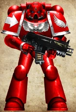 A Swan Guard Battle-Brother