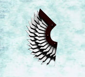 Wings of Honor