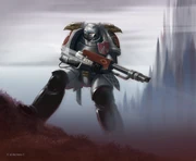 Lashock Honour Guards