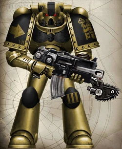 Golden Castellans Battleline Astartes