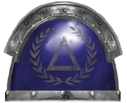 Void Paladins Armorial