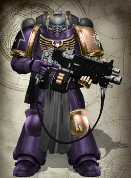 NW Intercessor Combi-Weapon