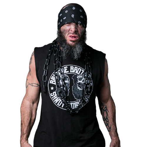 Mark Briscoe Defiant Wrestling Wiki Fandom