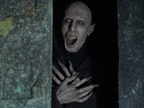 Petyr