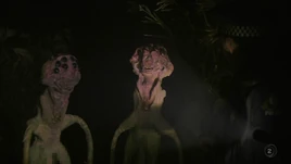 Extraterrestrial floras