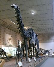 0526